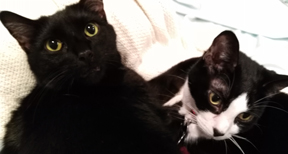 IMG_20171114_114411ps