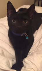 received_10154729927211611ps